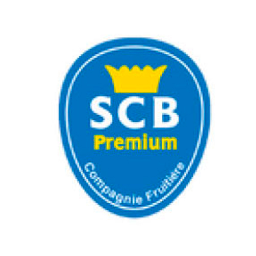 scb